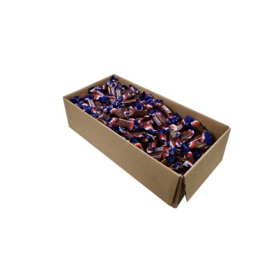 GR 1X1 SNICKERS MINIATURA 2.5 kg 250u 5x1_